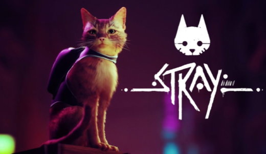 Stray (スットレーイ)【動画】